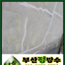 명성약국 이미지