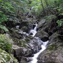 선비샘민박 이미지