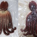 호미곶돌문어사업협동조합 이미지