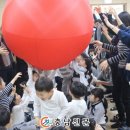 천안버들유치원 이미지