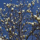 경화동행정복지센터 이미지