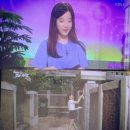 왕가네왕만두 | KBS TV비평 시청자데스크 제작현장속으로 출연 : 왕가네식구들 인터뷰