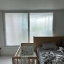 우성스크린 | [성남 분당구] 서현동 우성아파트 콤비 블라인드, 암막 콤비 블라인드, 롤스크린 블라인드 시공 후기