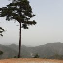 월명천 브런치
