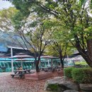 참숯가마골랜드 | 장흥 참숯가마골랜드