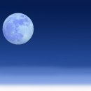 블루향기 이미지