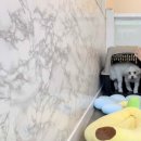 멍더캐슬 이미지