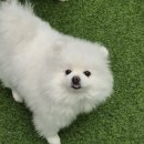 양정유치원 이미지