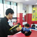 국가대표 우슈 합기도 이미지