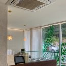 담금 젤라또 이미지