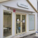 퍼피엔죽 | 대구 칠곡 애견수제간식 전문점 퍼피비스킷