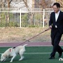 봄;여름;가을겨울 이미지