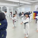 태아일체 선호 태권도장 이미지