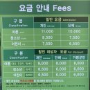 마당이수목원(자작나무동) | 가평 겨울 아이랑 가볼만한 곳 : 아침고요수목원 오색별빛정원전 (경기도 야간 명소,야간개장 불빛축제)