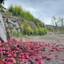 대송목욕탕 이미지