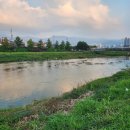 원주리라 | 강원도 원주 만두축제 다녀온 후기