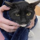 레오메디칼 이미지