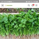 고수농장 이미지