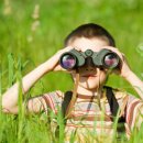 학습심리학 이미지