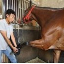 동남부화장 이미지