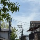 인디고트래블 후쿠오카 유후인(유후다케, 히타, 다자이후) 버스투어 내돈내산 후기 마이리얼트립