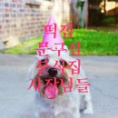 아리따움학장로점 네이버블로그