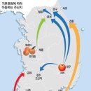 남태평양참치 이미지