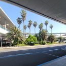 (주)블루렌트카 이미지