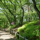 달맞이동산지구 이미지