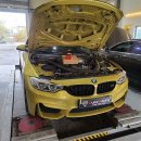 bmw m4 루카스 합성엔진오일교환 작업 이미지