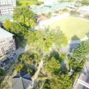 녹수초교 이미지