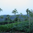 남한강변길 이미지