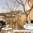 고창시장 이미지