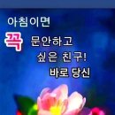좋은아침입니다 이미지