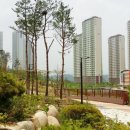 부영공원(월산근린공원) 이미지