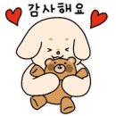 춤추는갈매기 이미지