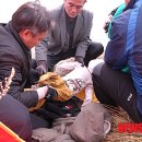 진해구 ⓒ-37 이미지