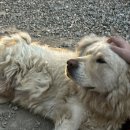 강변석정 이미지