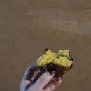 율암온천 이미지