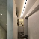 스테이바누 이미지