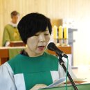 기준농장 이미지