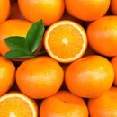 대전복지용구 이미지