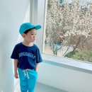 나무트레이닝 이미지