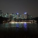A Whiter Shade of Pale (A) 이미지