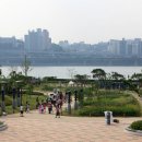 잠원한강공원 조선일보