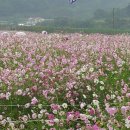 민속촌가든 이미지