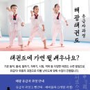 사자후 태권도 이미지