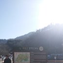 거시기식당 이미지