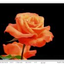 지축초등학교 이미지