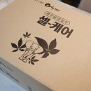 이뮨팩토리제주